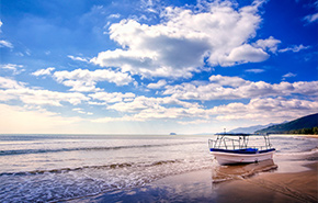 武汉津桥教育-出国留学_新加坡留学_雅思培训_日本留学