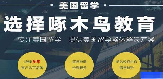 北京啄木鸟教育-英语_新托福_SAT考试_GRE考试