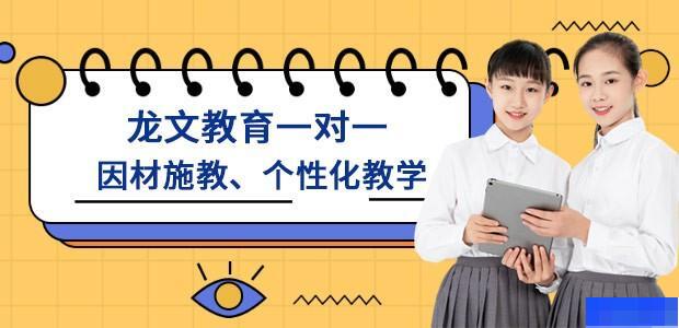 上海龙文教育-高中_高中辅导_