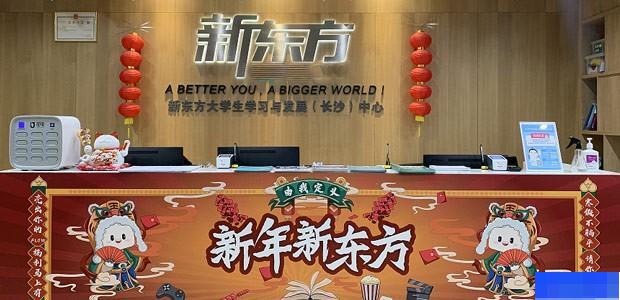 长沙新东方考研-考研_考研专业课_考研集训营_英语