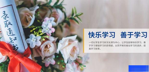 武汉乐学教育-高中_艺术考试辅导_