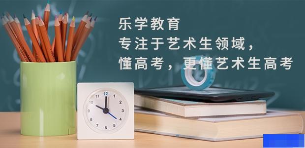 武汉乐学教育-高中_艺术考试辅导_