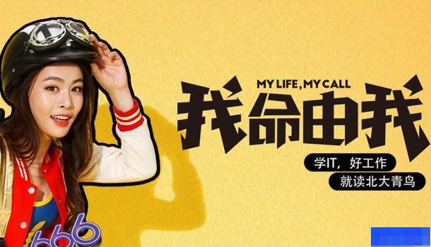 上海北大青鸟-_软件开发_IT就业_网络营销