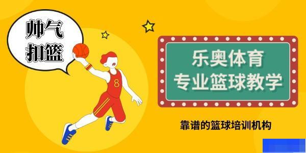 南京乐奥体育-文体艺术_球类运动_